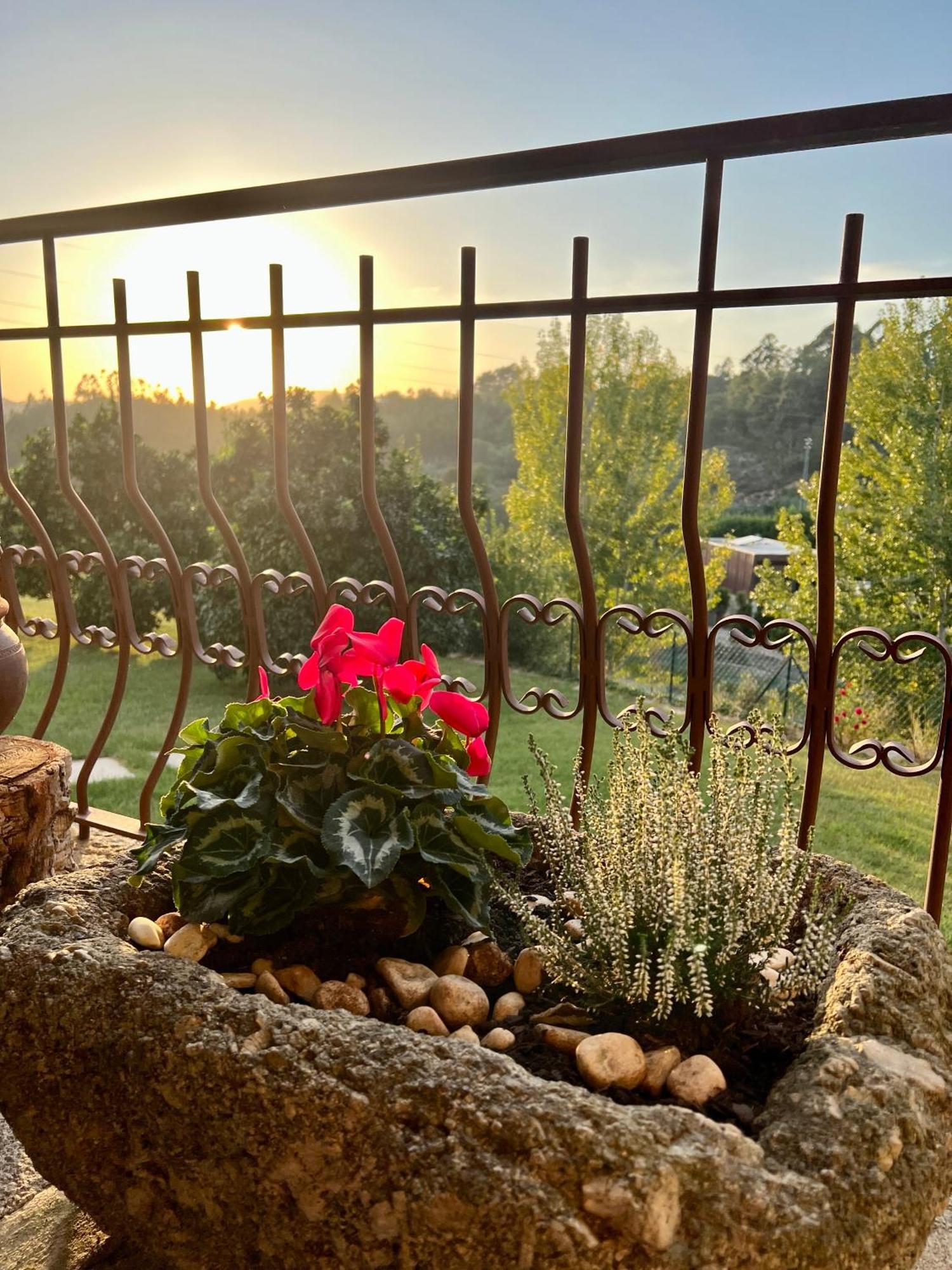 Quinta De Villasete Alpendurada Екстериор снимка