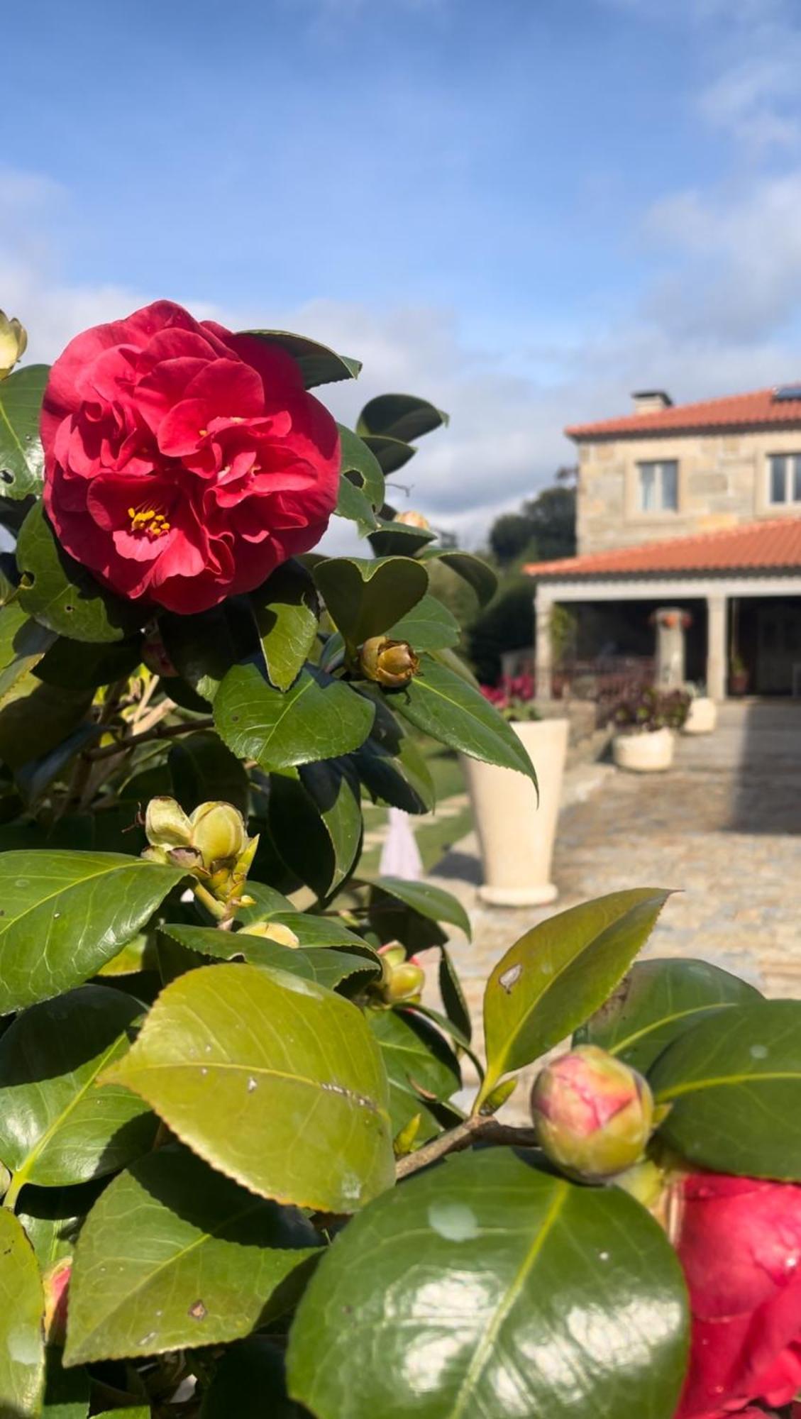 Quinta De Villasete Alpendurada Екстериор снимка