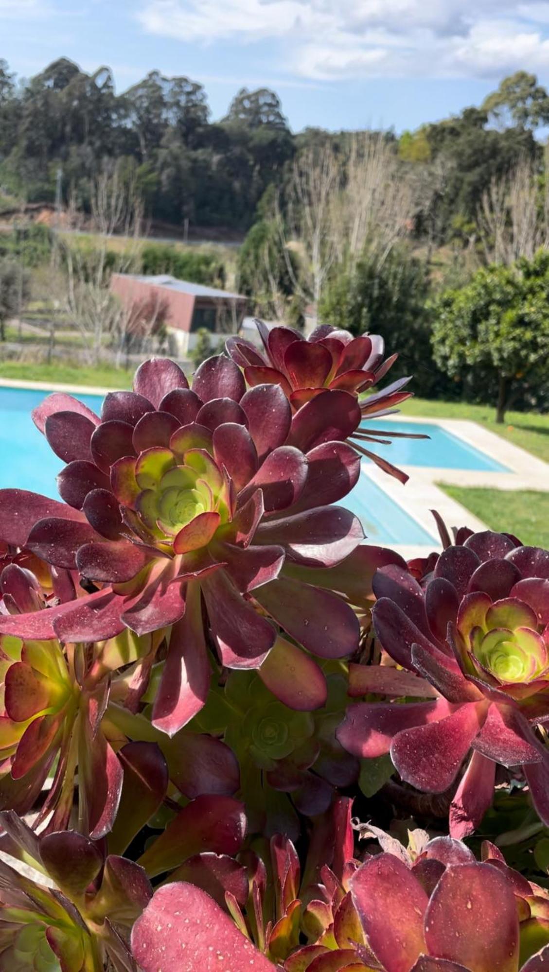 Quinta De Villasete Alpendurada Екстериор снимка