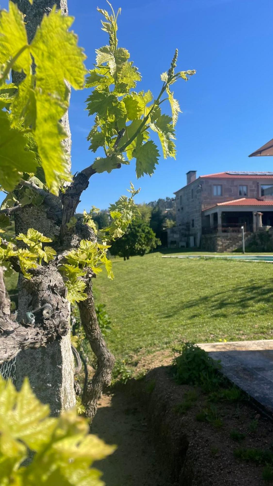 Quinta De Villasete Alpendurada Екстериор снимка