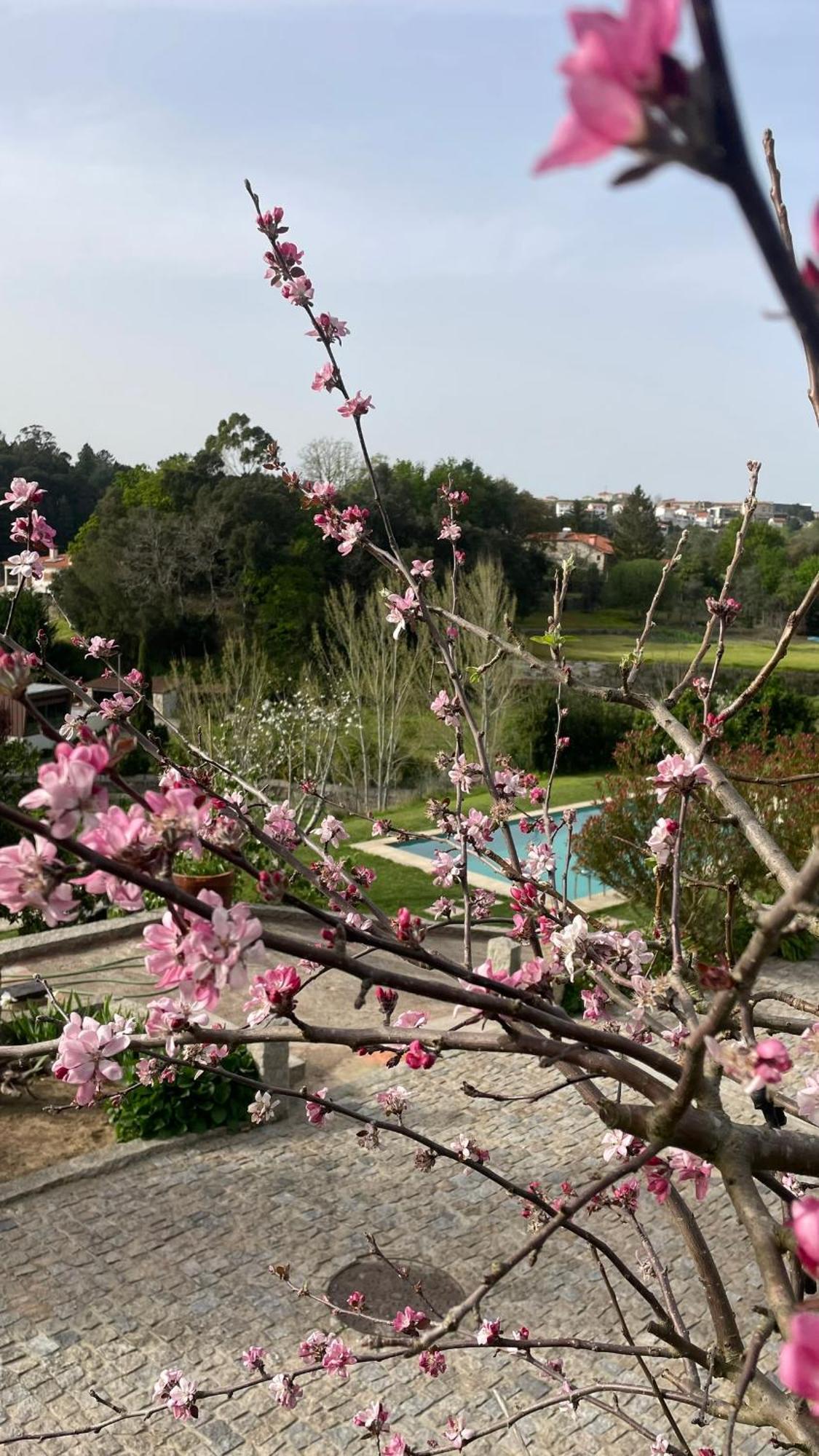 Quinta De Villasete Alpendurada Екстериор снимка