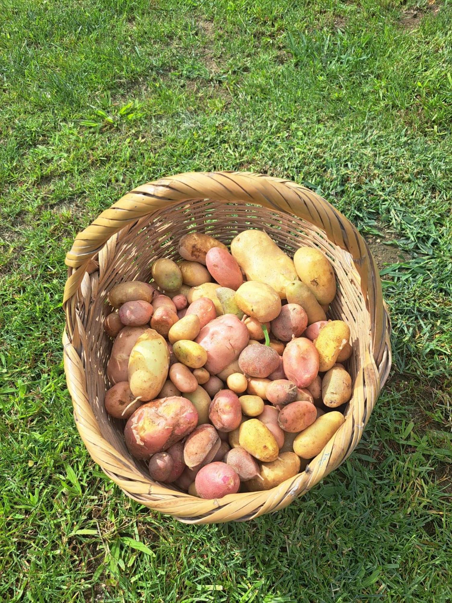 Quinta De Villasete Alpendurada Екстериор снимка