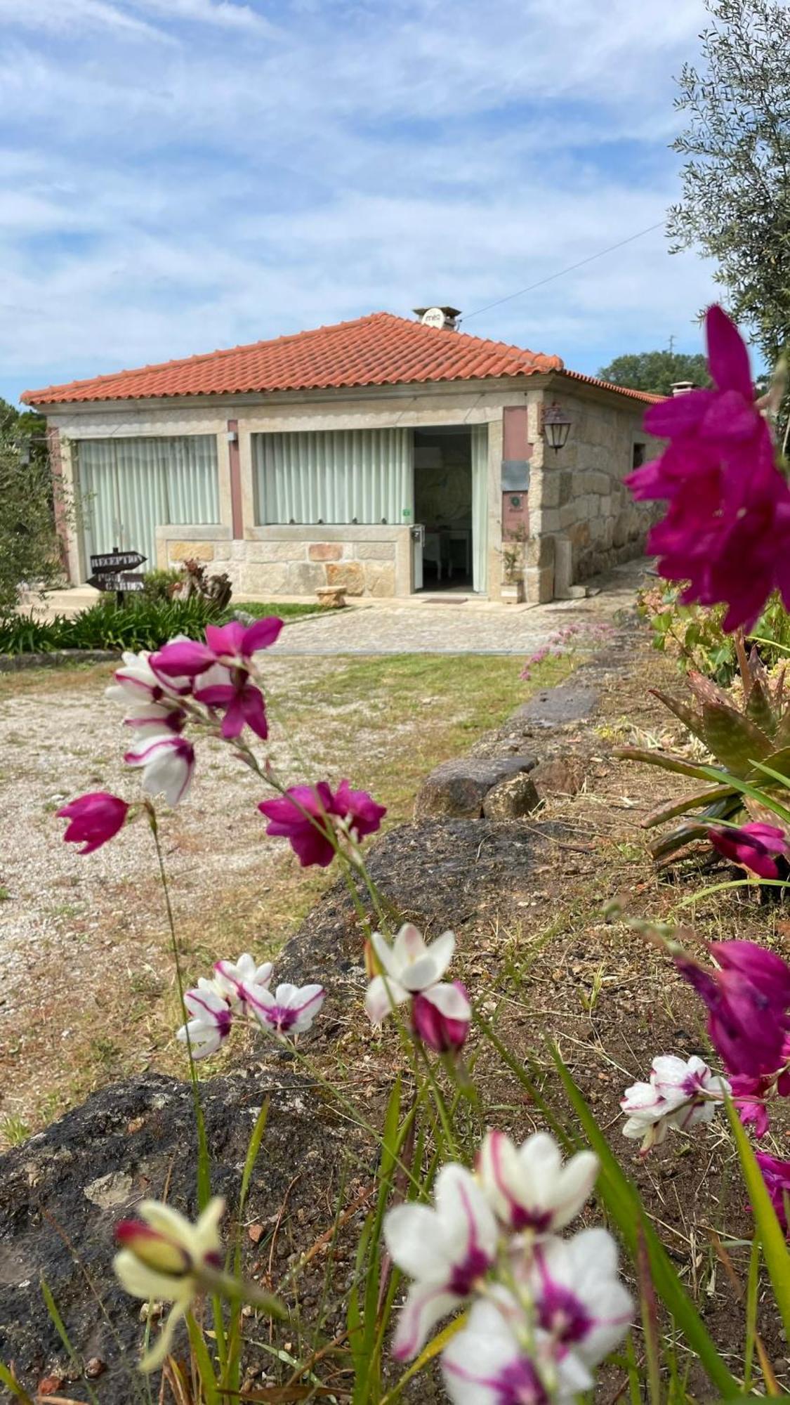 Quinta De Villasete Alpendurada Екстериор снимка