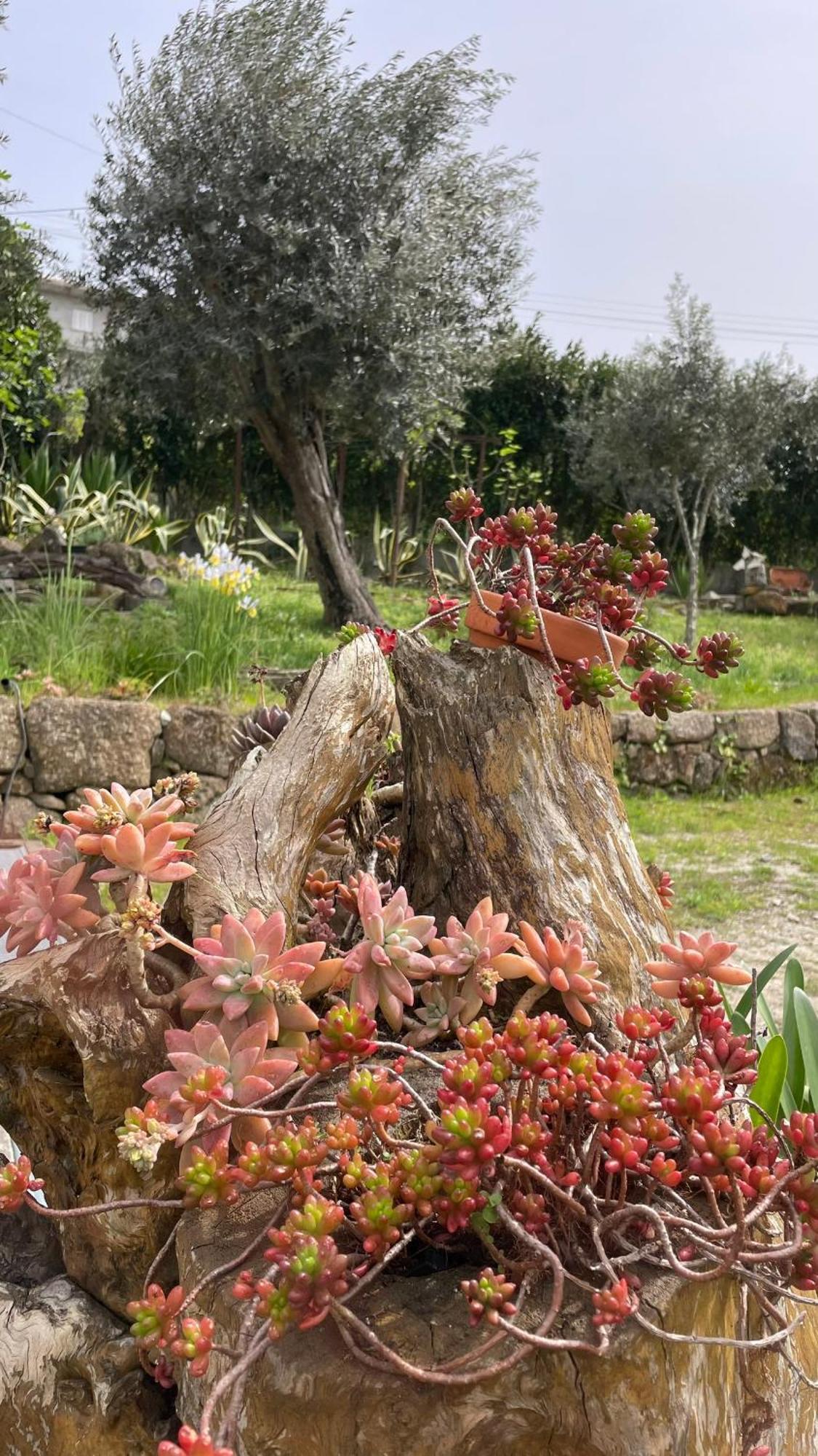 Quinta De Villasete Alpendurada Екстериор снимка