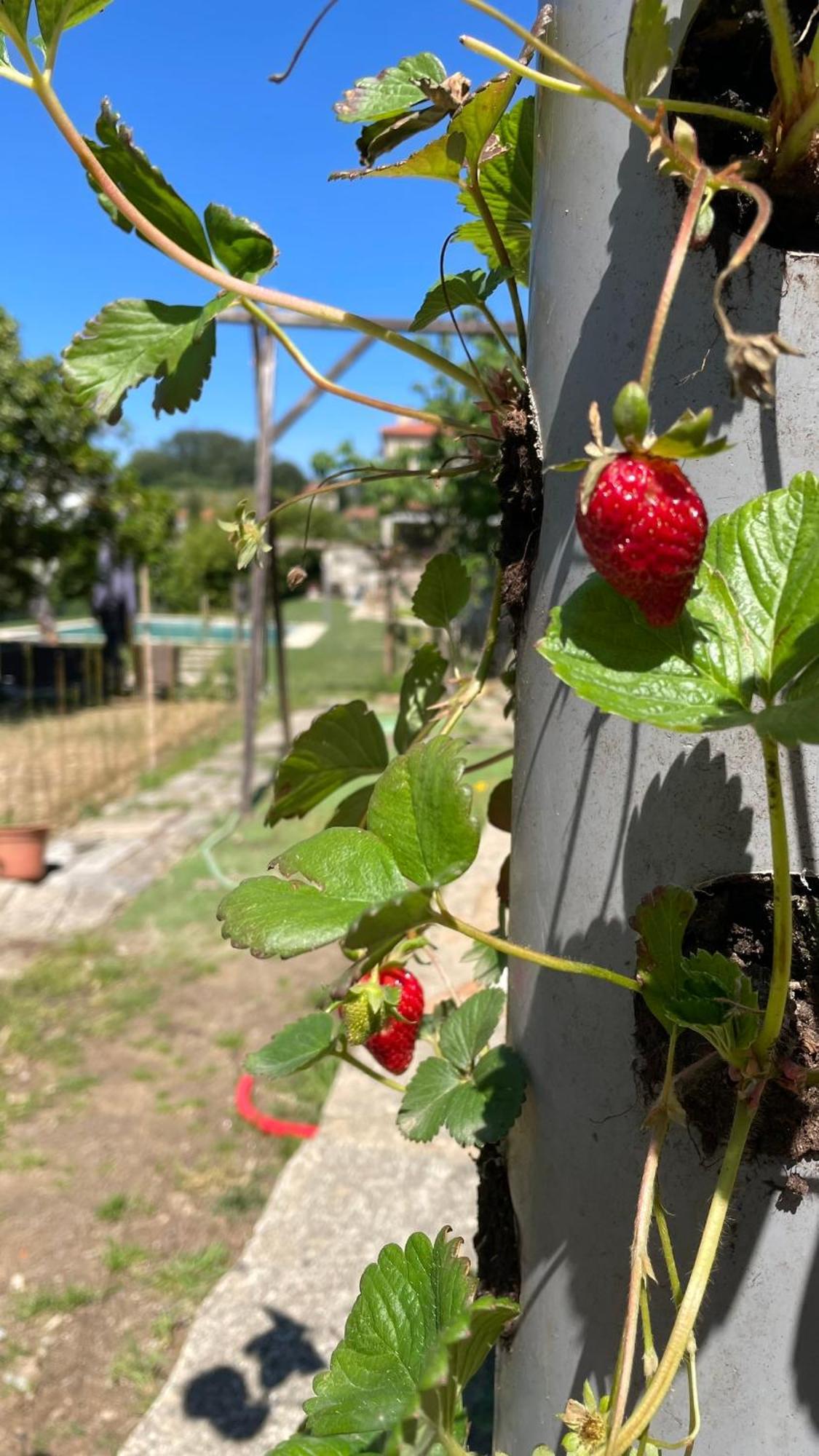 Quinta De Villasete Alpendurada Екстериор снимка