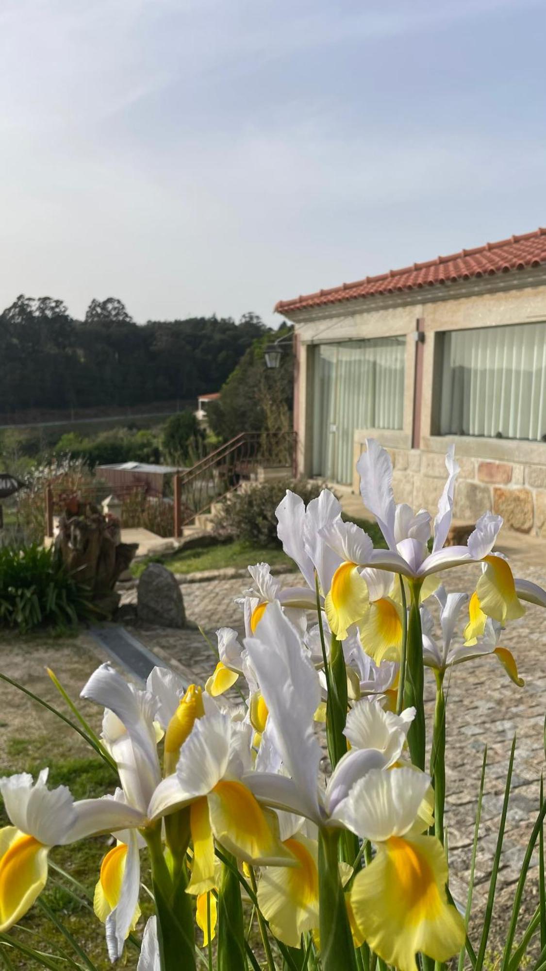Quinta De Villasete Alpendurada Екстериор снимка