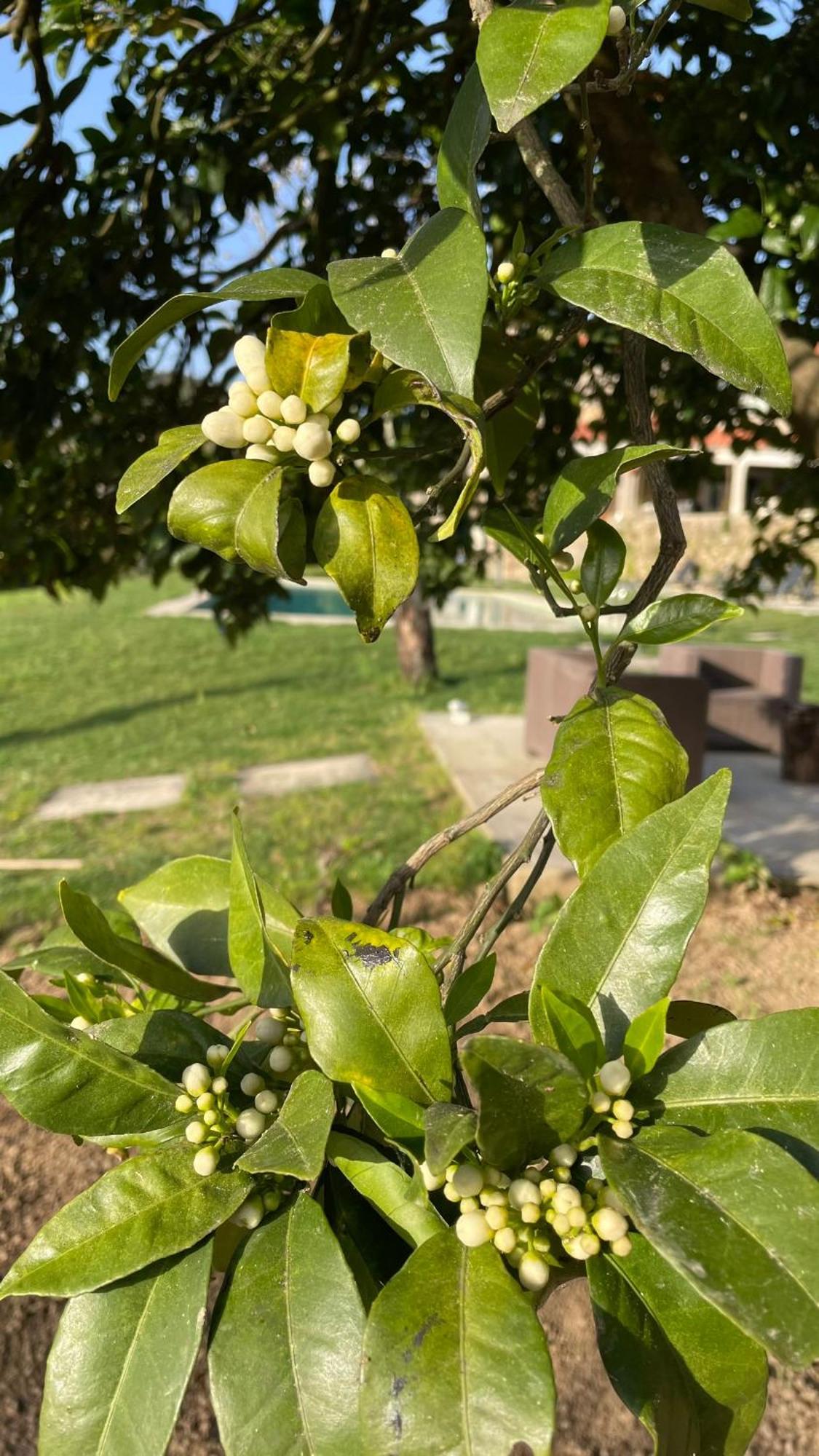 Quinta De Villasete Alpendurada Екстериор снимка