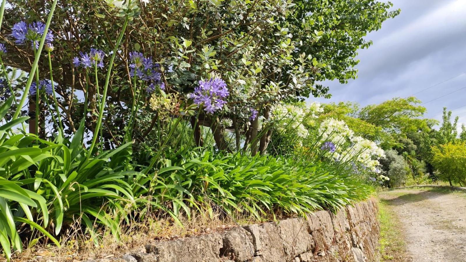 Quinta De Villasete Alpendurada Екстериор снимка